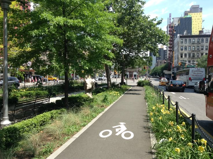 Painted bicycle lane on a wide street with trees and buildings in soft daylight